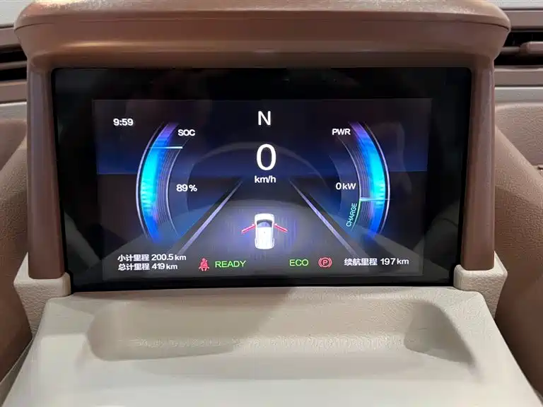 BESTUNE PENTIUM PONY