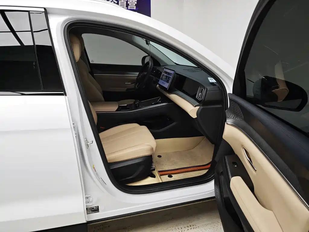 BYD Pro New Energy — миниатюра 10