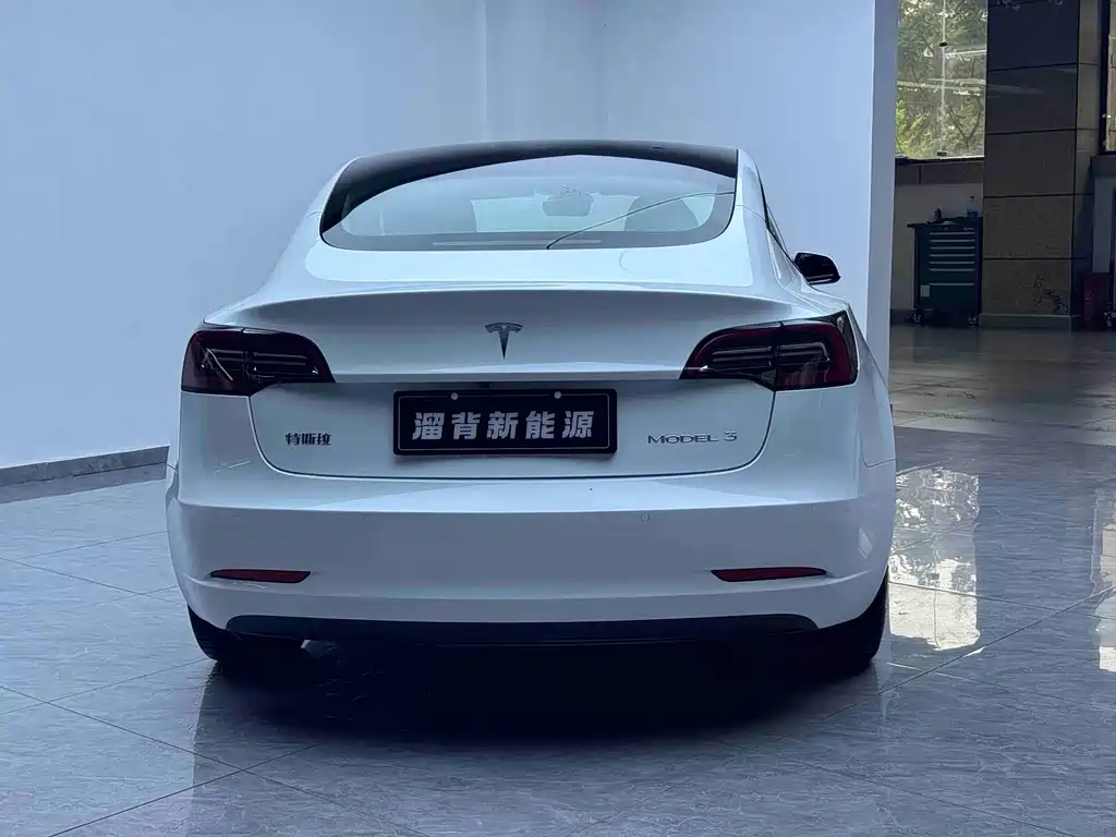 Tesla Model 3 — миниатюра 14