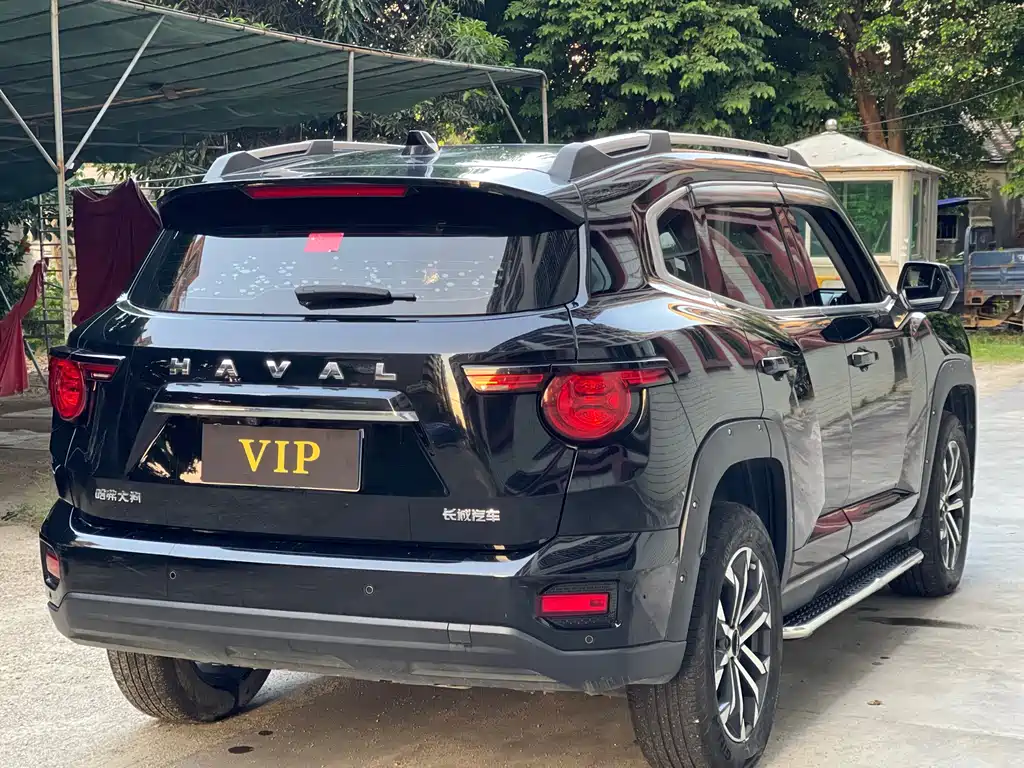 Haval Big Dog PLUS — миниатюра 7