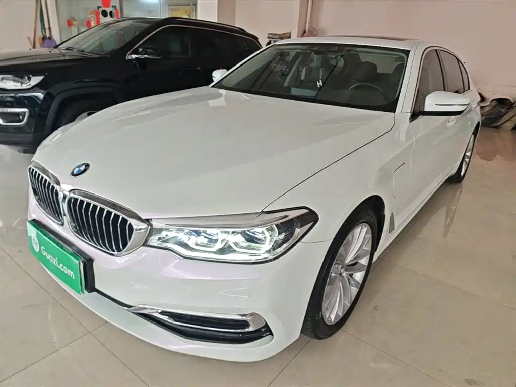 BMW 5 Series New Energy 2020