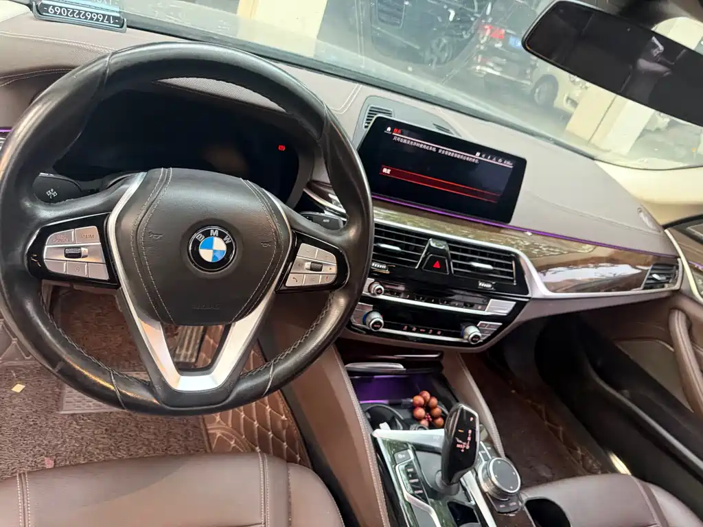 BMW 5 Series 5 2020 525Li Luxury