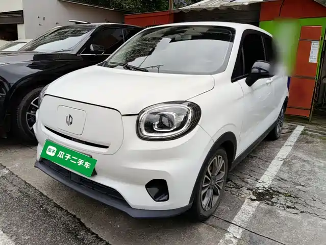 2021 Leapmotor T03