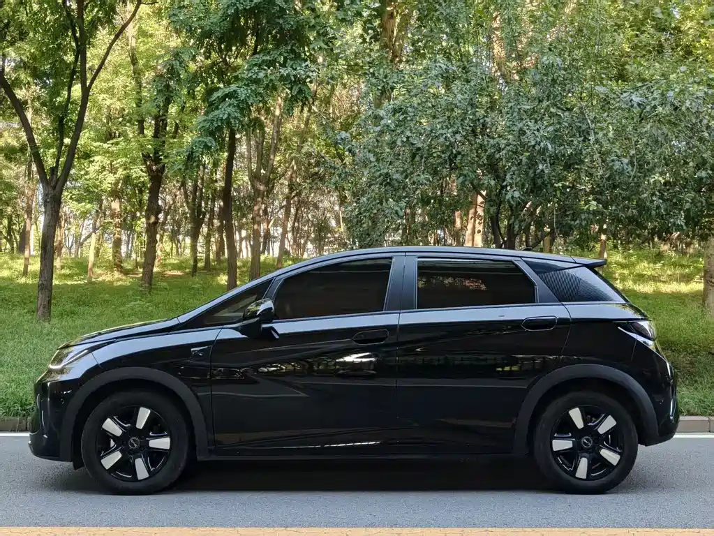 BYD Dolphin — миниатюра 3