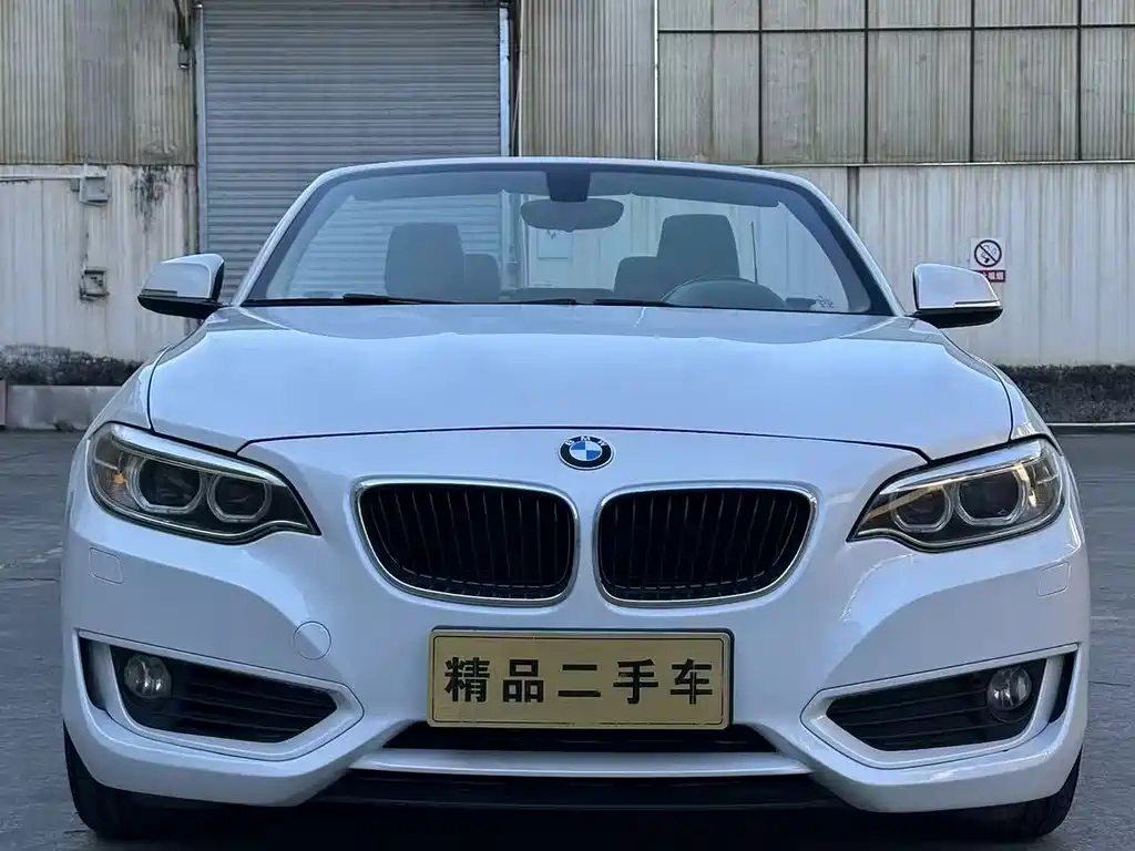 BMW 2 Series (Import) 2016