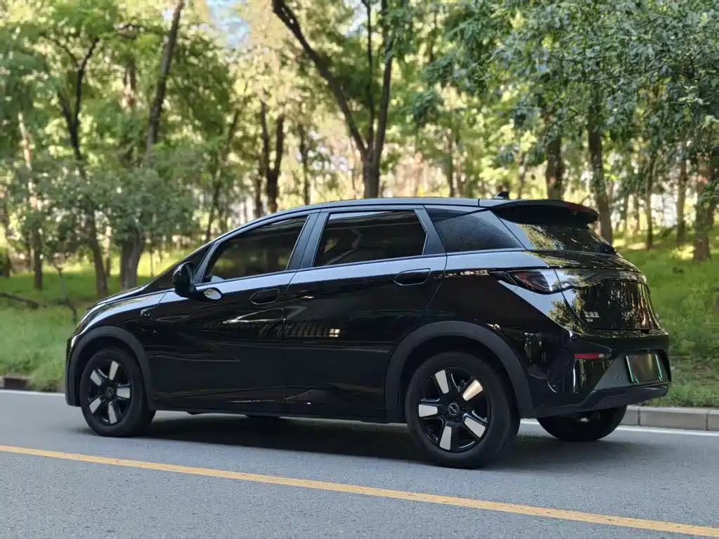 BYD Dolphin — миниатюра 9