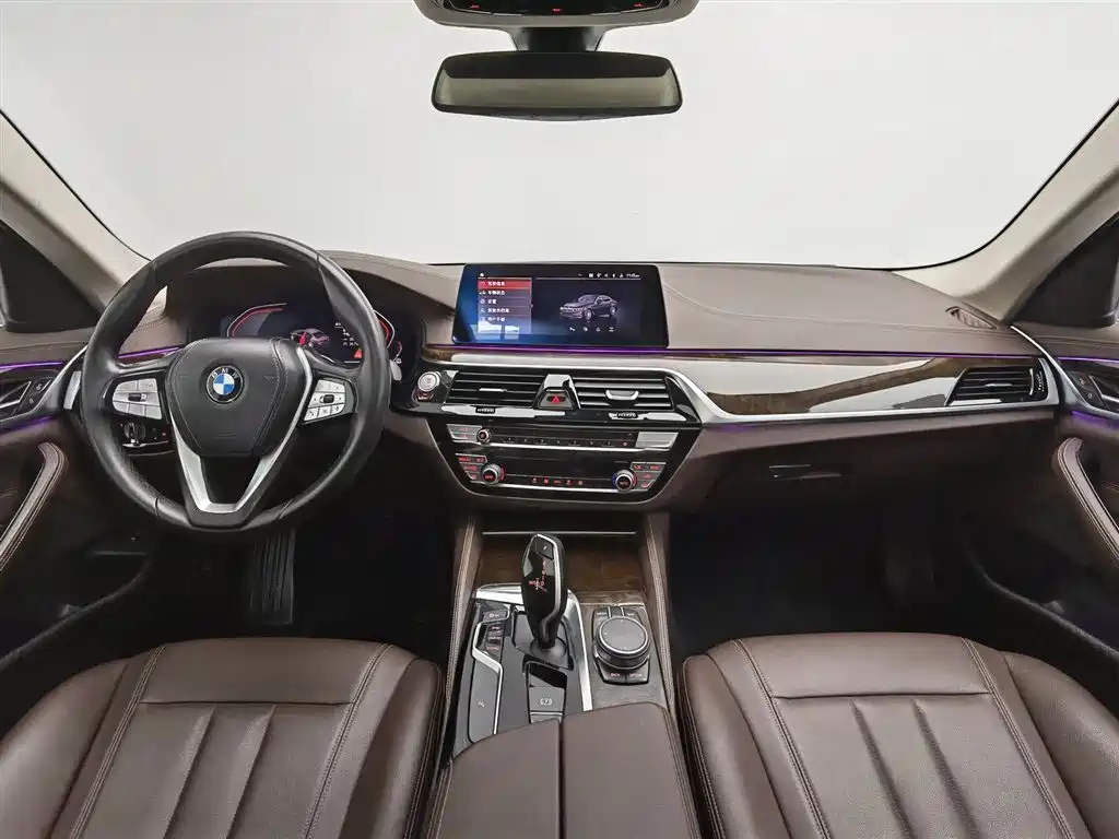 BMW 5 Series 5 2020 525Li Luxury