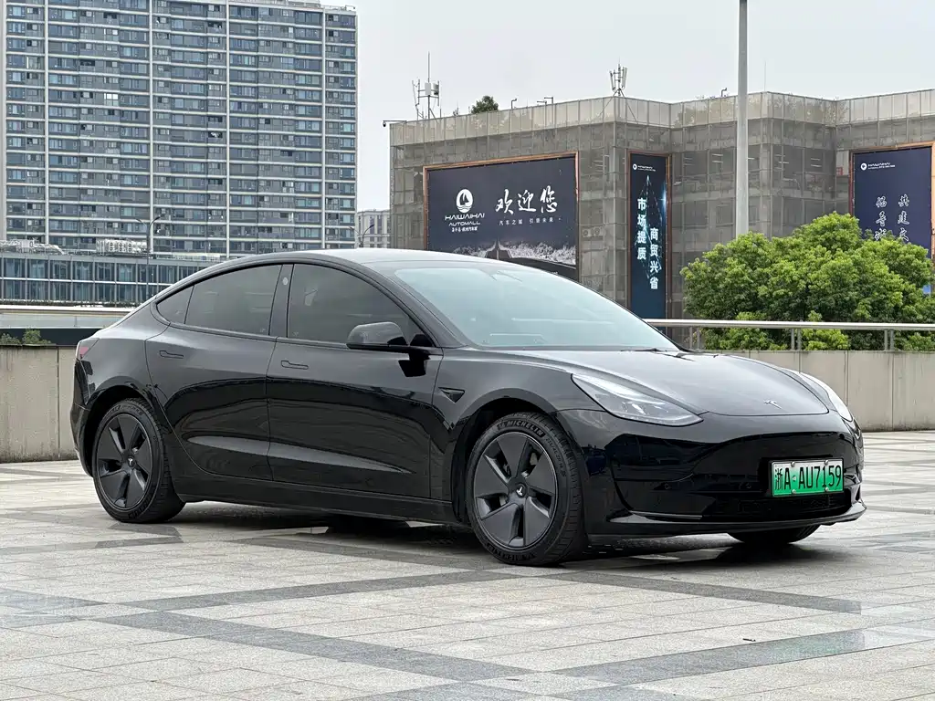 Tesla Model 3 — миниатюра 3