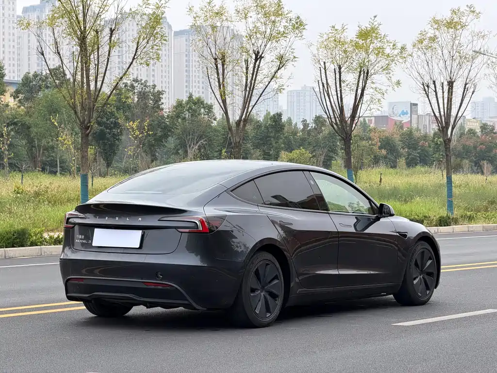 Tesla Model 3 — миниатюра 4