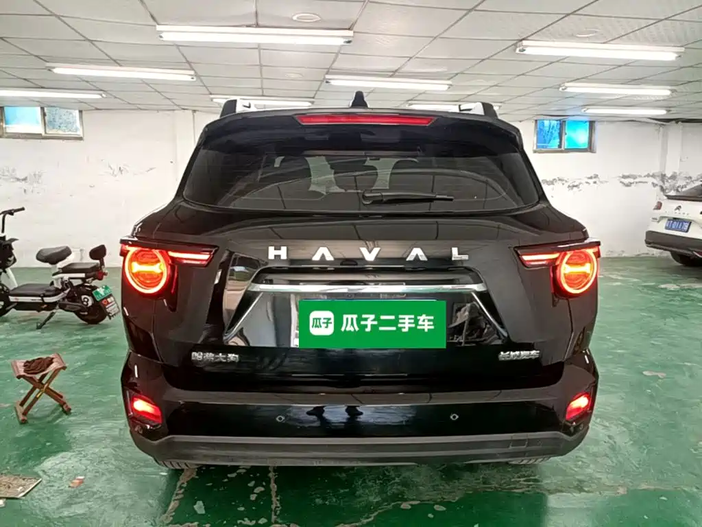 Haval Big Dog PLUS — миниатюра 6