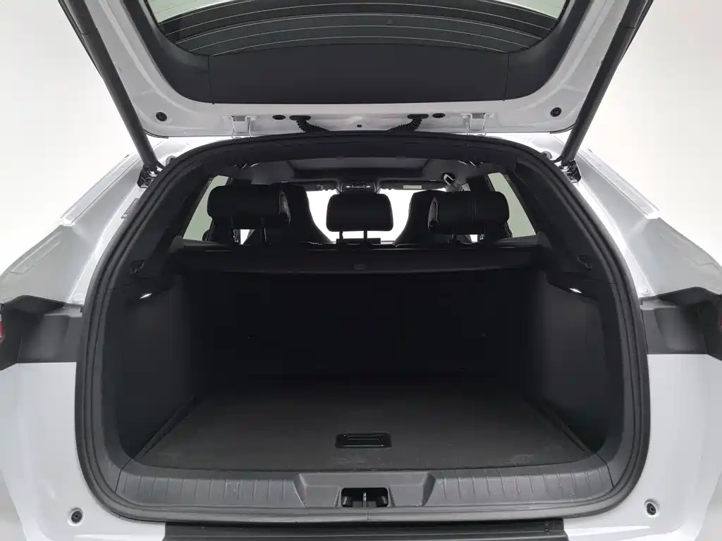 BYD PLUS New Energy — миниатюра 16
