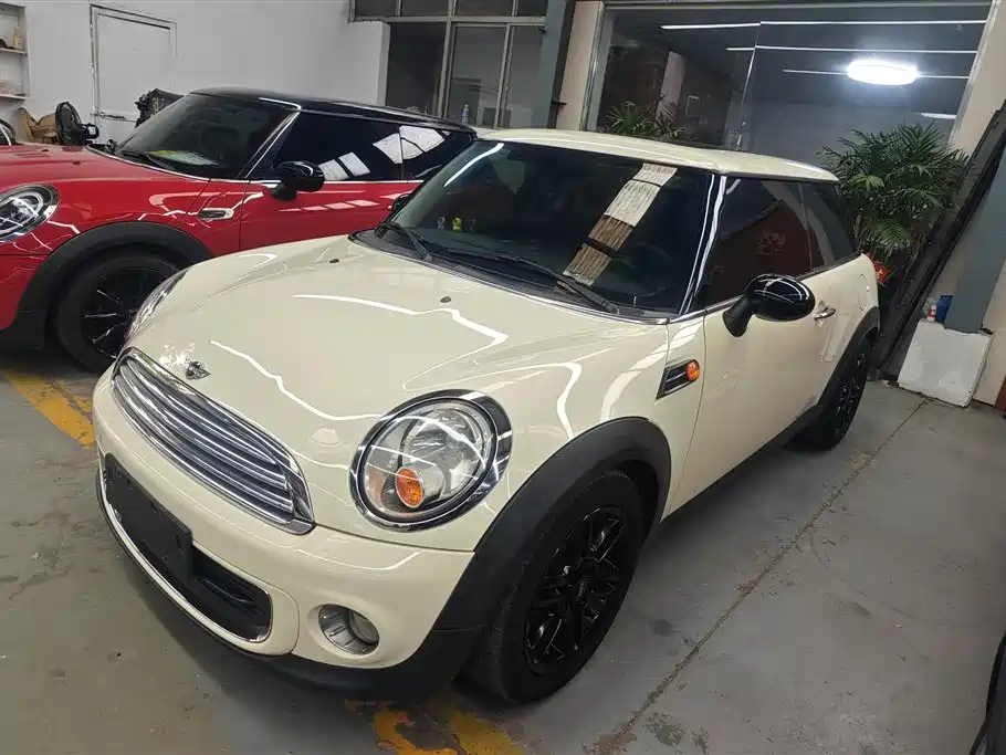Mini Mini 2013