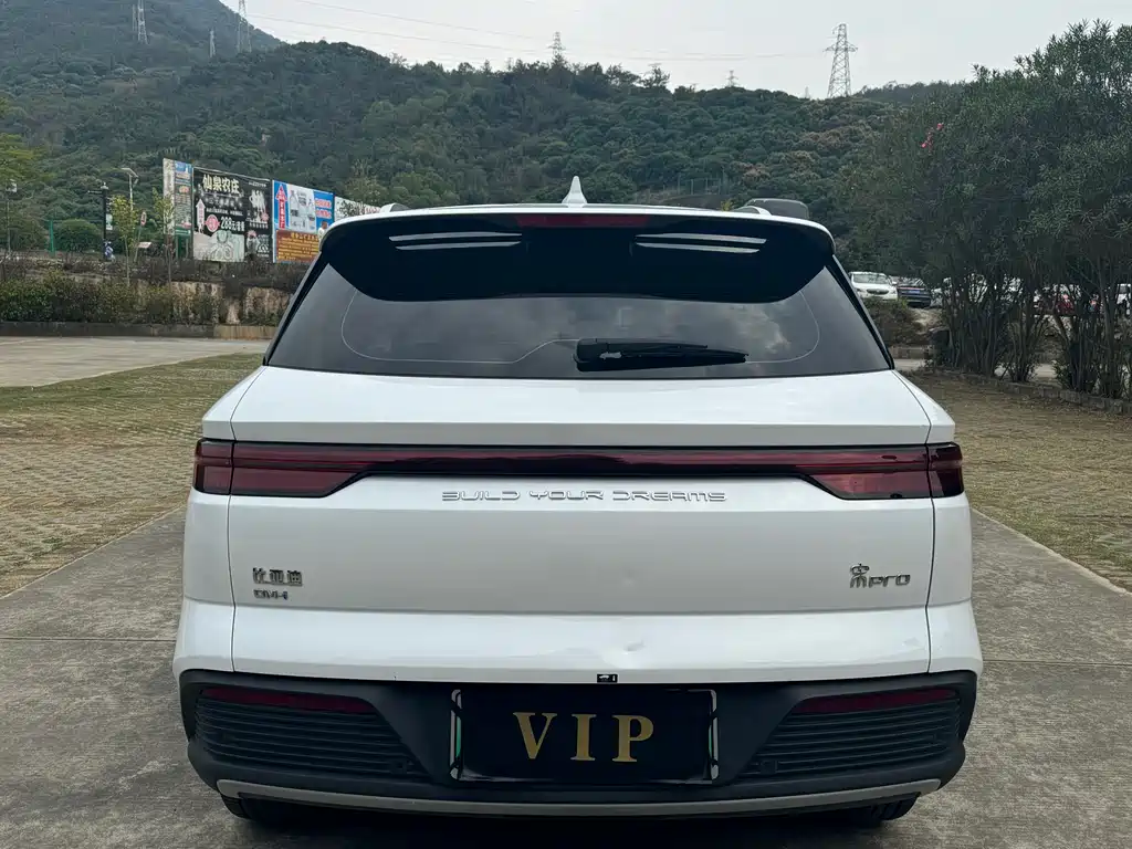 BYD SONGJIANG NEW ENERGY