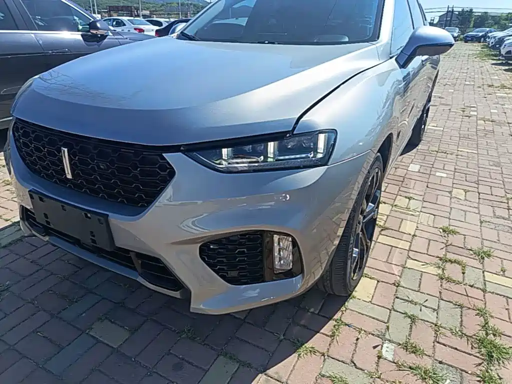 Wey Wey VV7 — миниатюра 24
