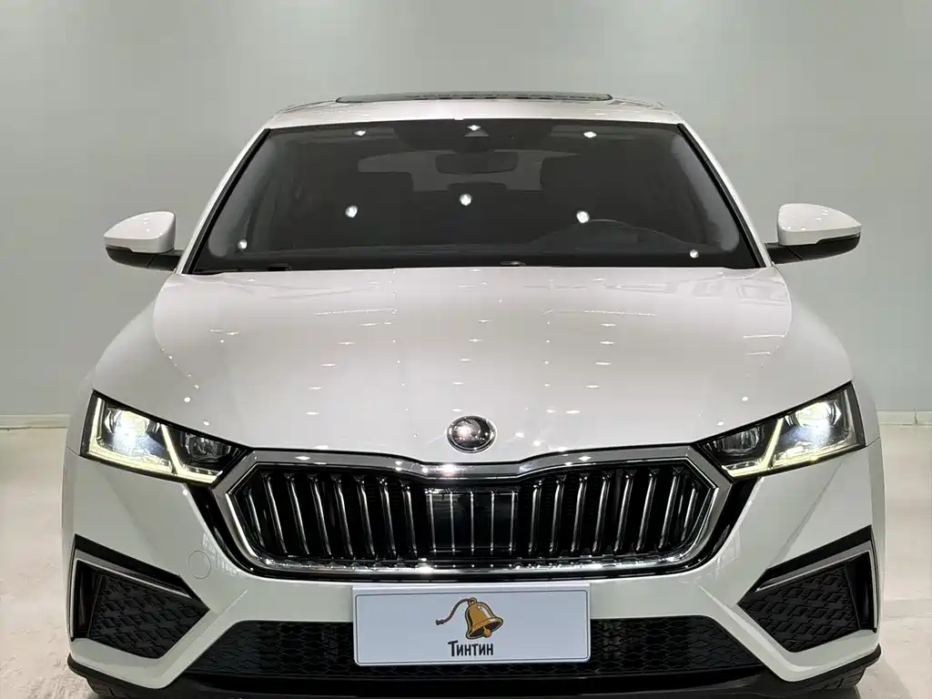Skoda Octavia PRO TSI280 Luxury Enjoy Edition, фото 2