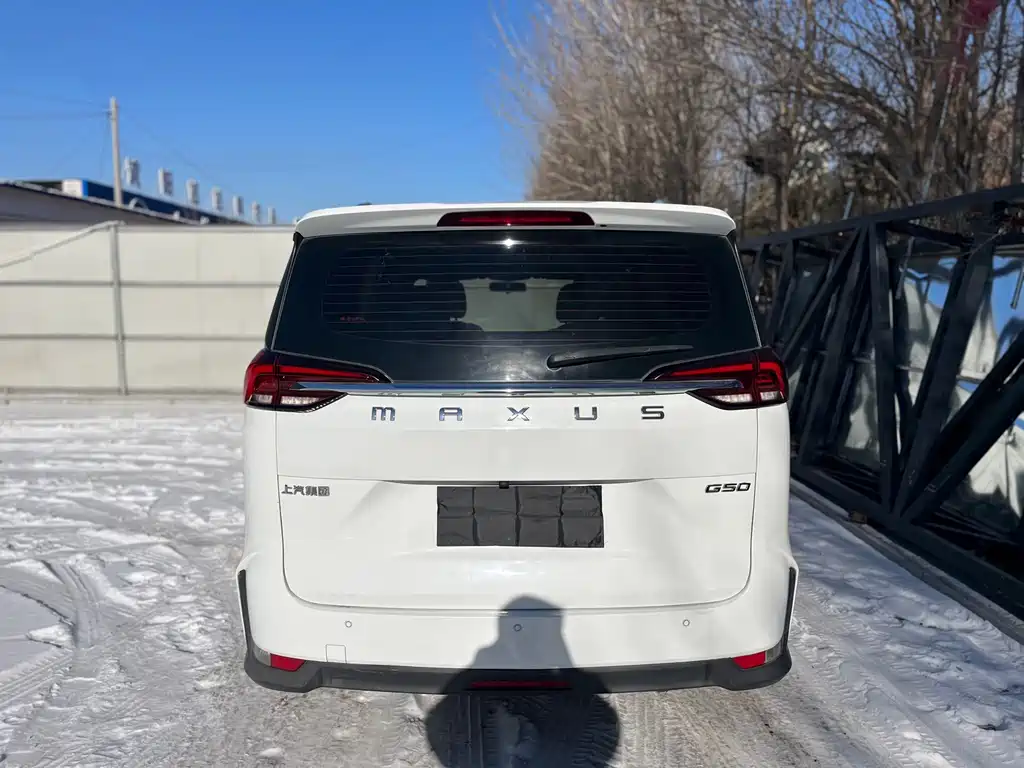 SAIC MAXUS CHASE G50