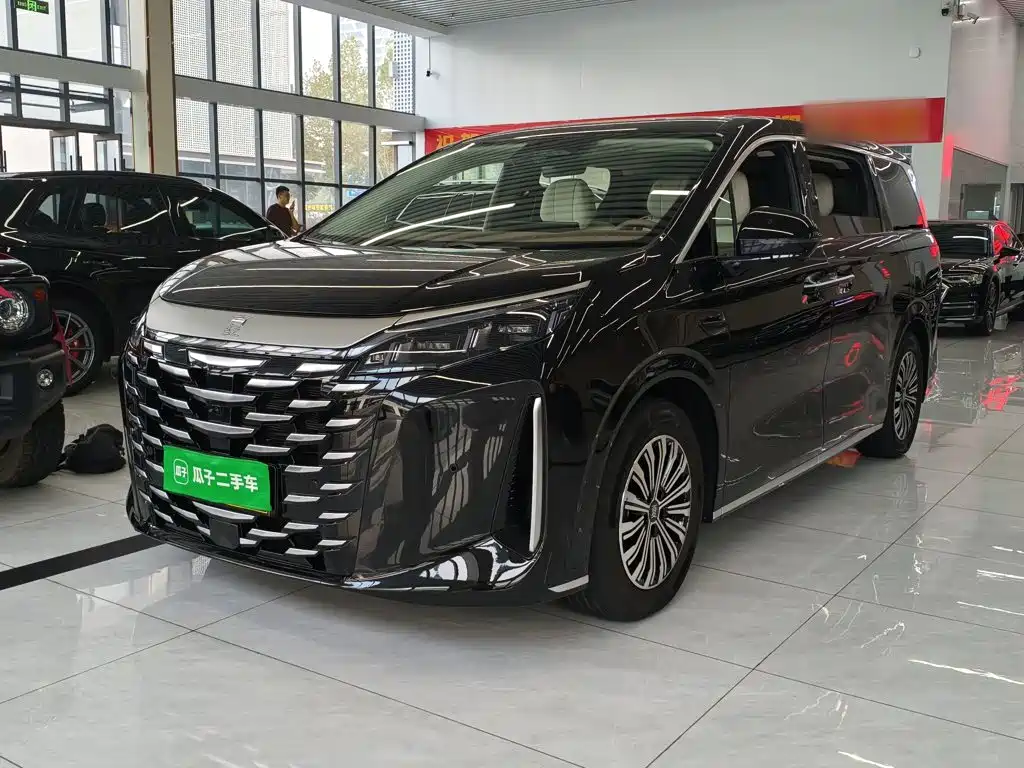 BYD Xia — миниатюра 2