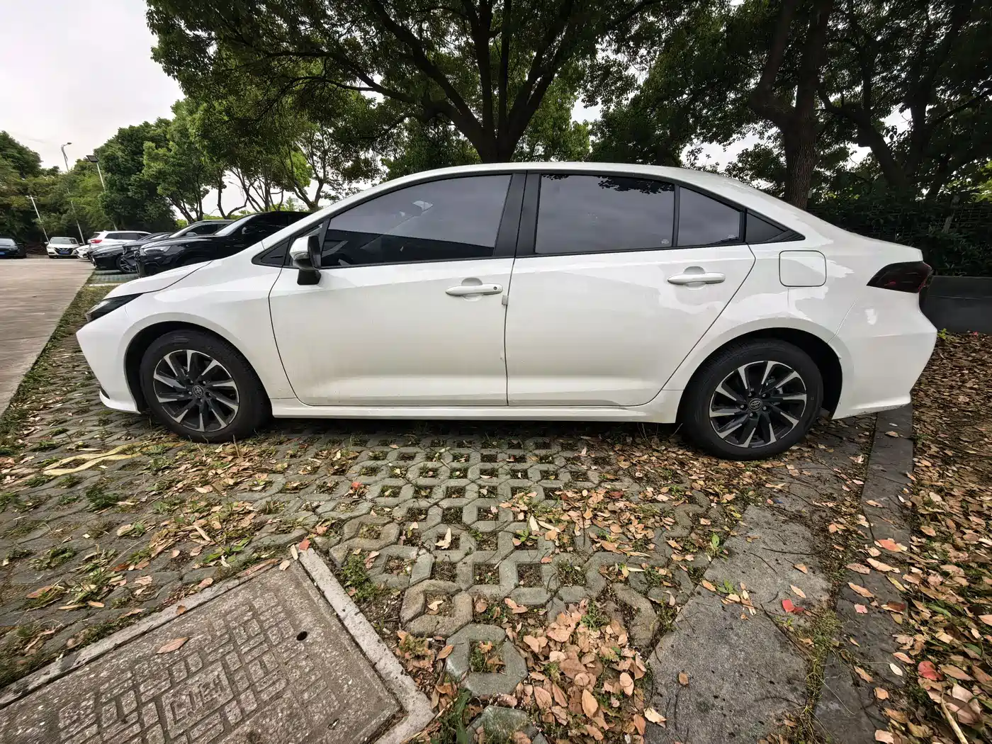 Toyota Corolla 2026 Белый из Китая, фото 5