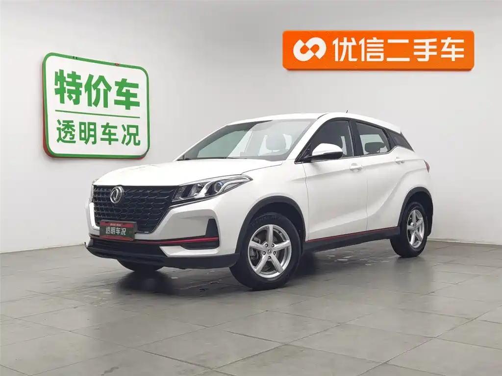 Fengguang Fengguang 500 2021