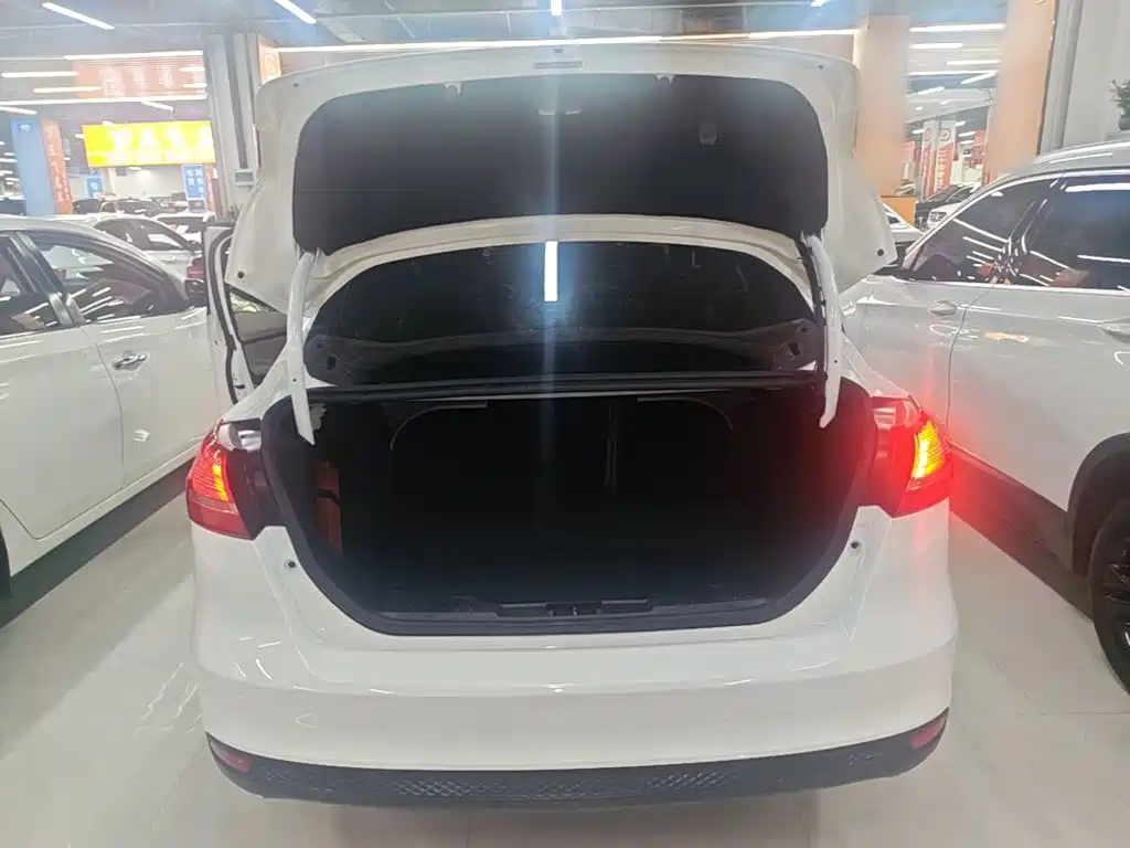 Ford Focus — миниатюра 19