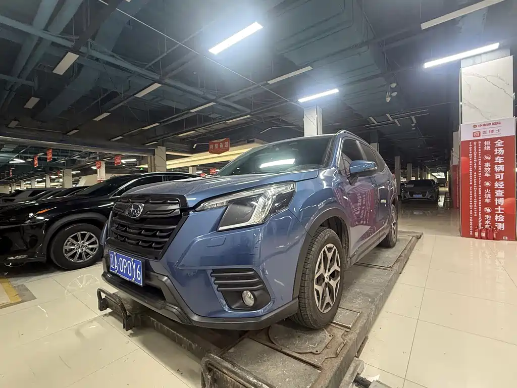 Subaru Forester — миниатюра 2