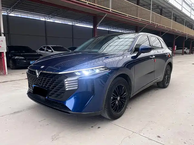 2022 Venucia V-Online