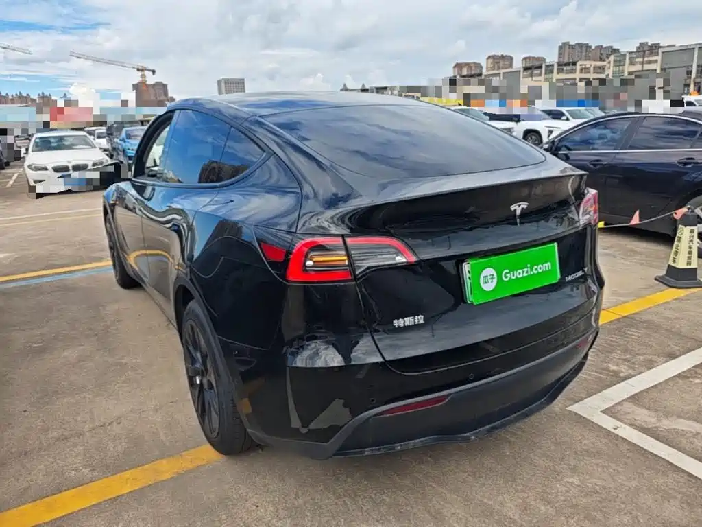 Tesla Model Y — миниатюра 5