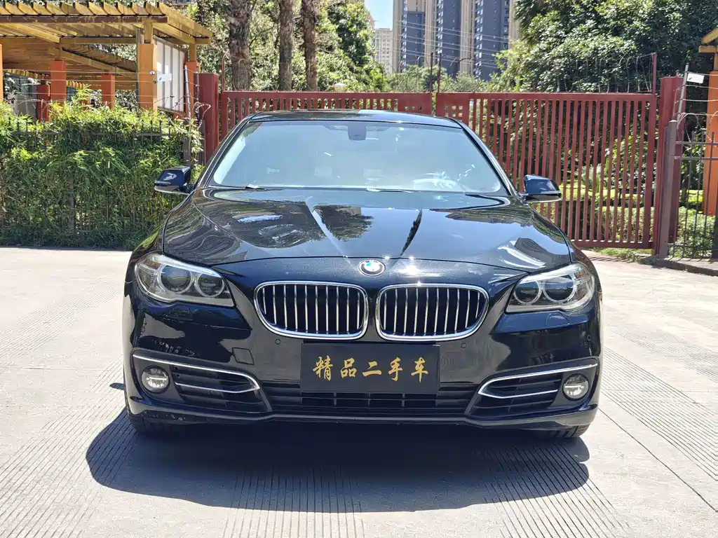 BMW 5 Series — миниатюра 2