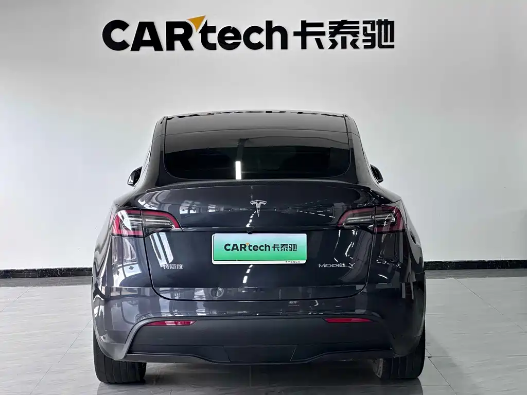 Tesla Model Y — миниатюра 4