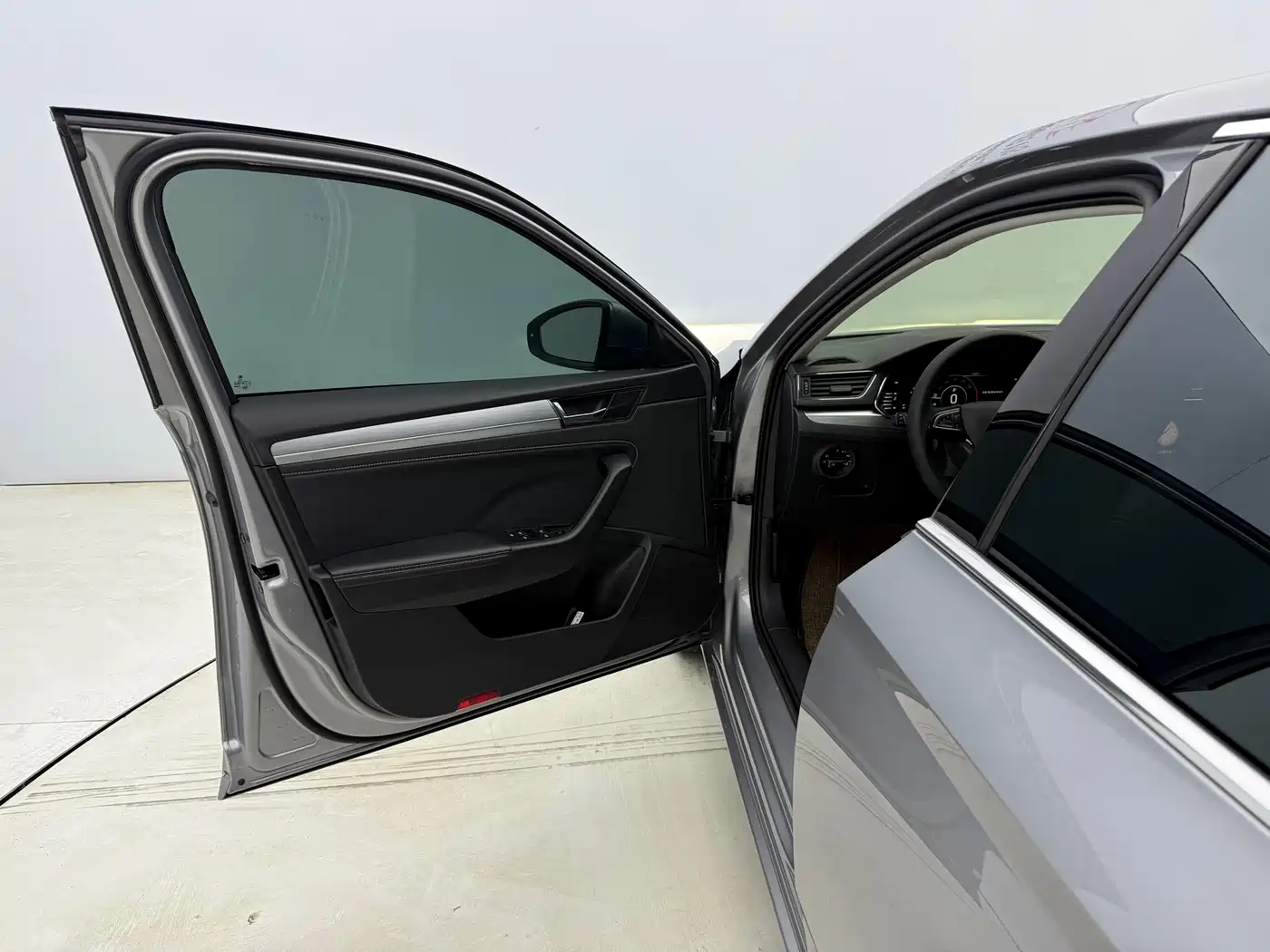 Skoda Speed pie 2023 Silver/gray из Китая, фото 3