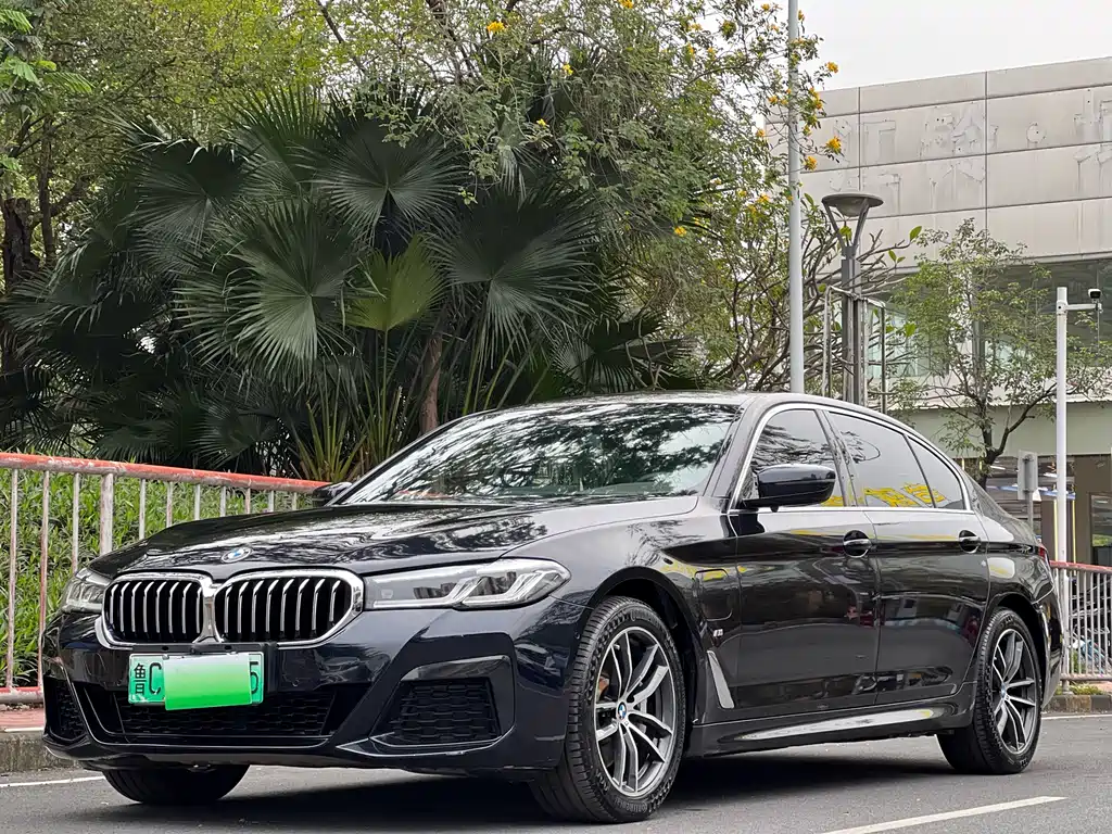 BMW 5 Series New Energy 2021