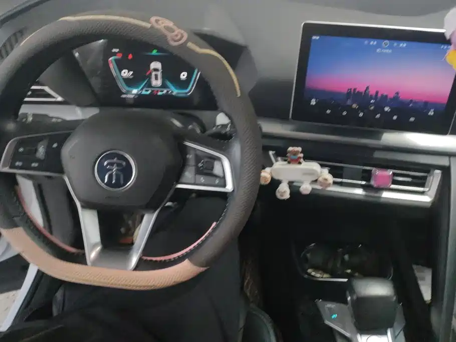 BYD Pro — миниатюра 12