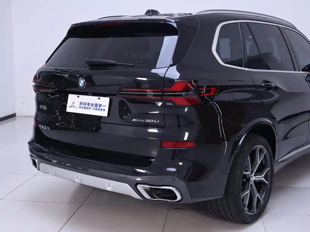 BMW X5 — миниатюра 8