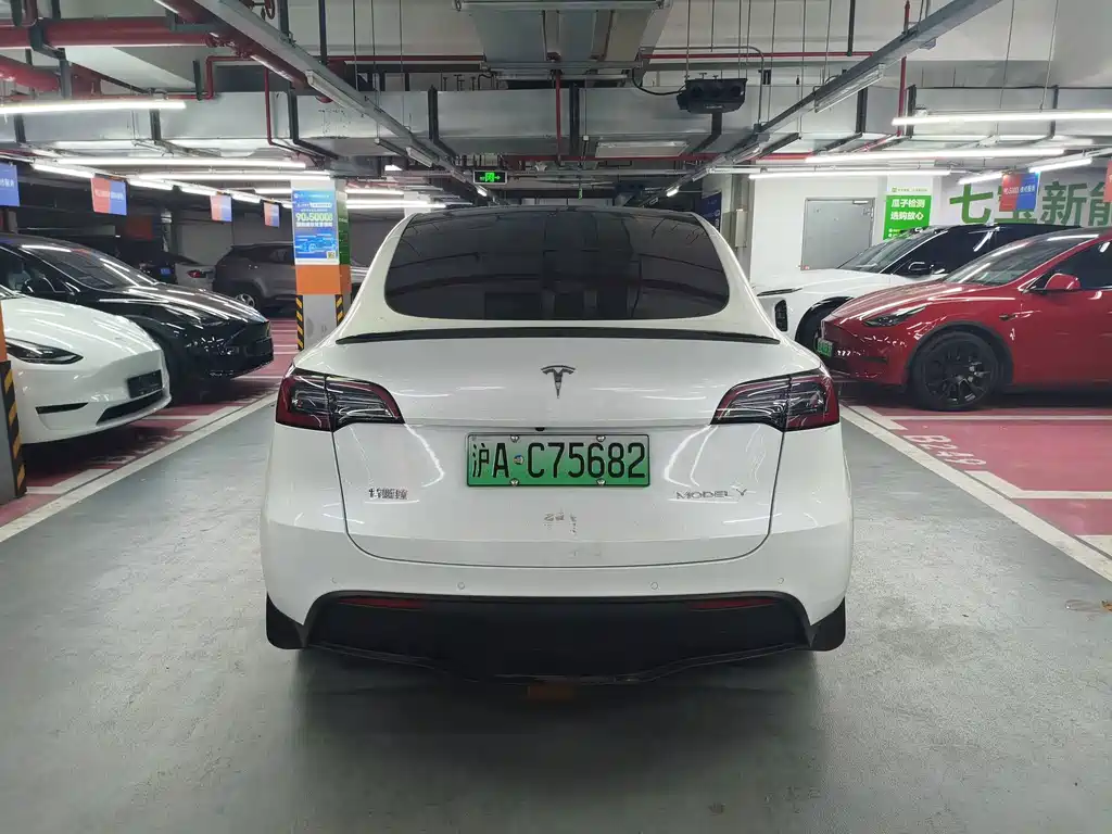 Tesla Model Y — миниатюра 7