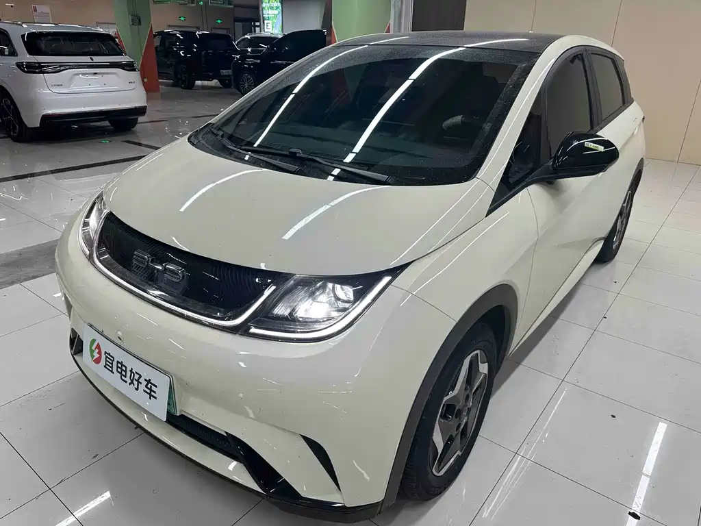 Byd Dolphin 2022