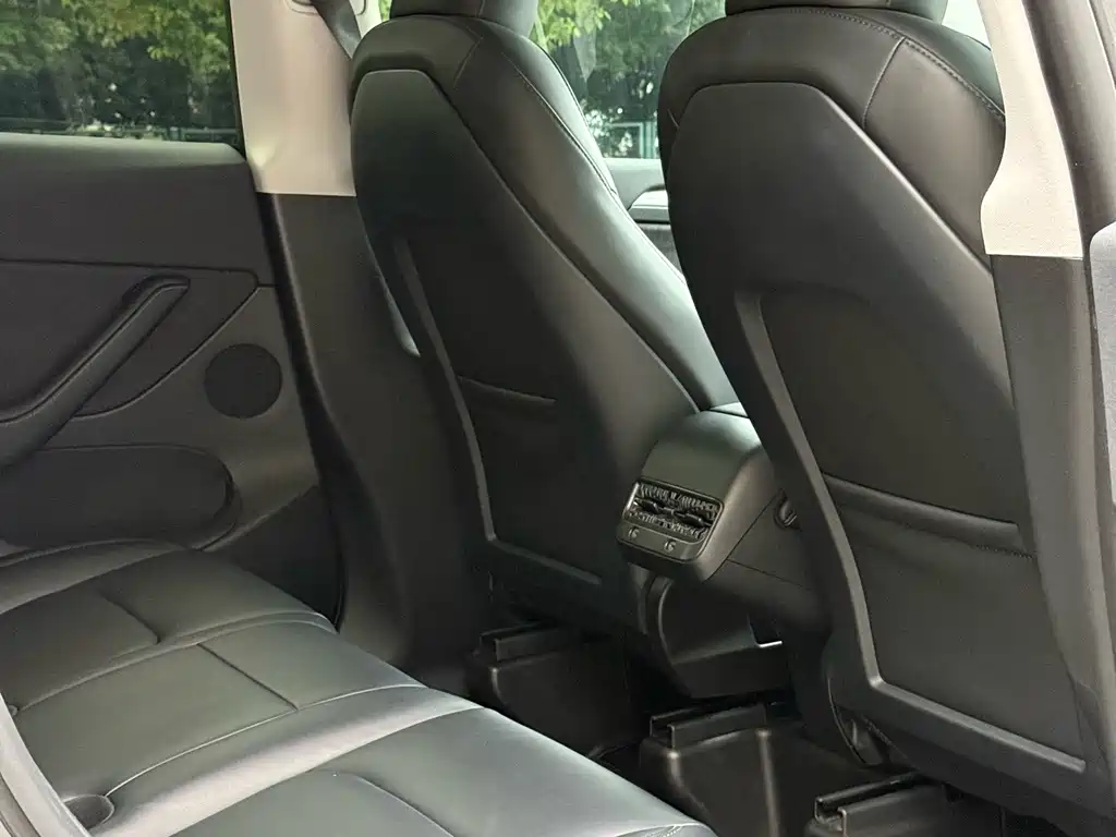 Tesla Model Y — миниатюра 10