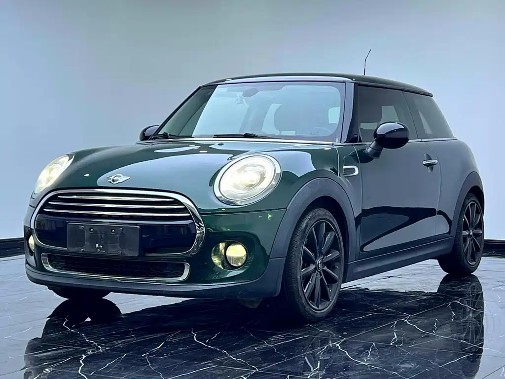 Mini Mini 2018
