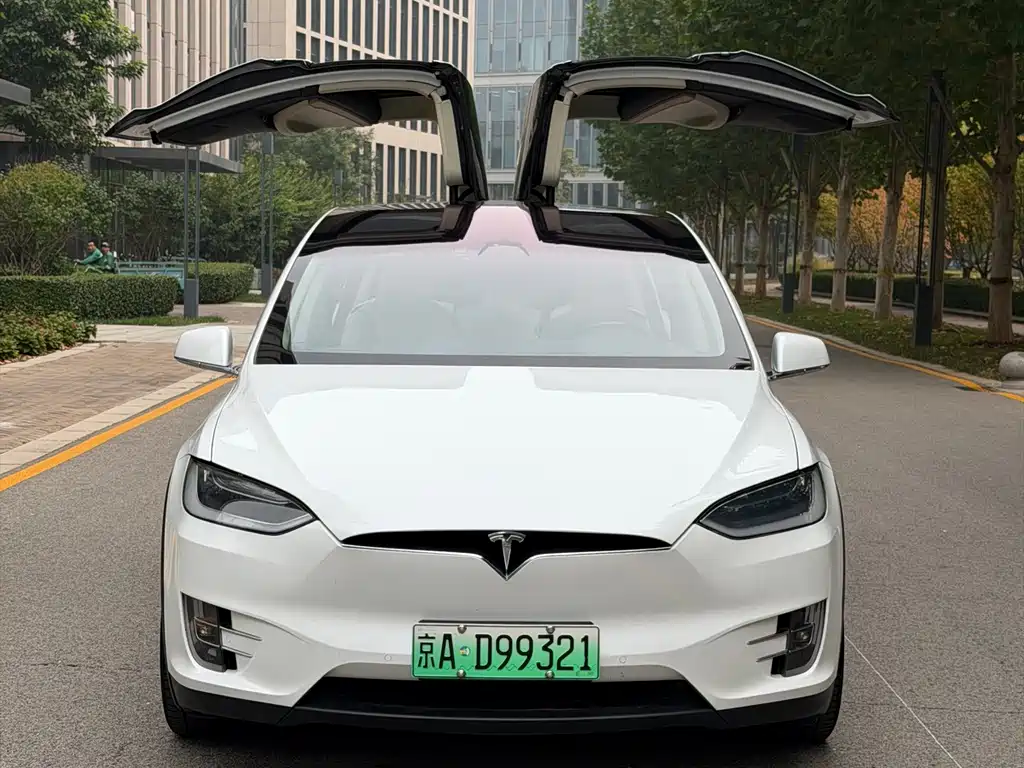 Tesla Model X — миниатюра 7