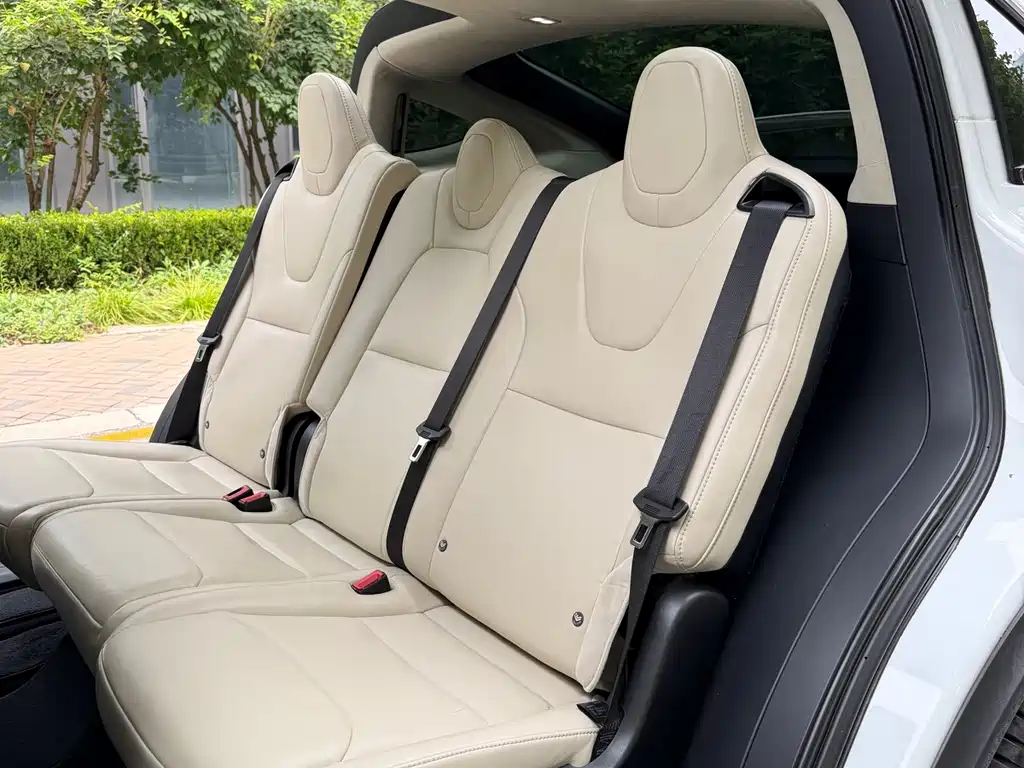 Tesla Model X — миниатюра 14
