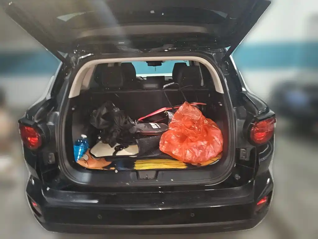 Haval Big Dog PLUS — миниатюра 15