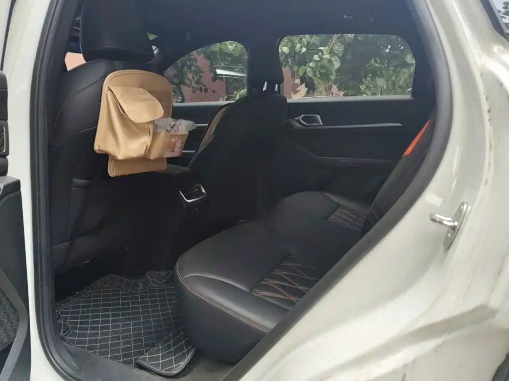 Haval Shenshou — миниатюра 13