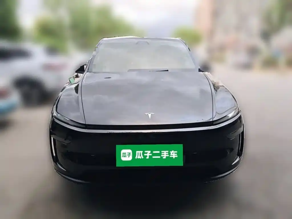 Tesla Model Y — миниатюра 2
