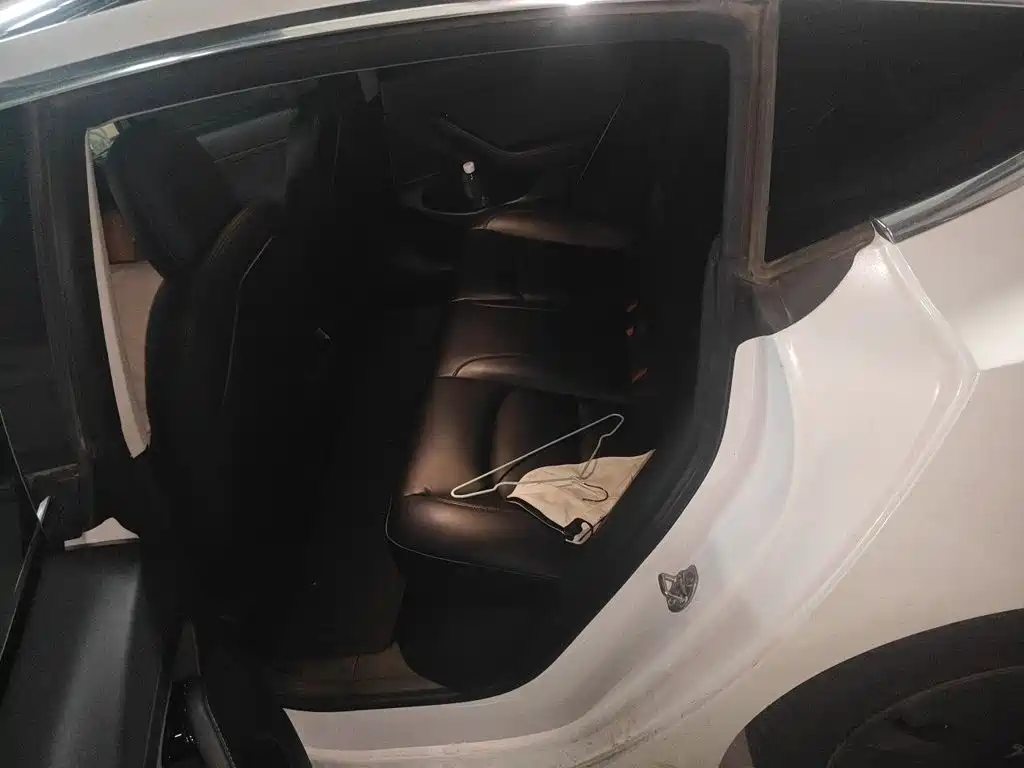 Tesla Model 3 — миниатюра 13