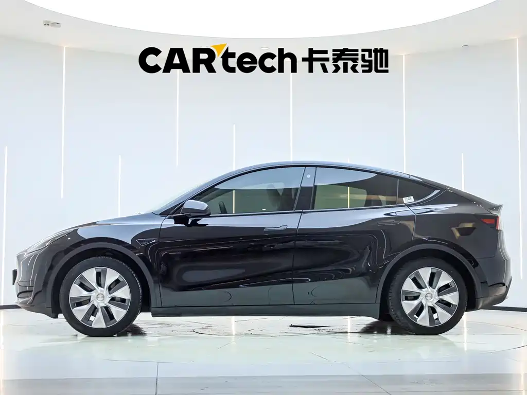 Tesla Model Y — миниатюра 5