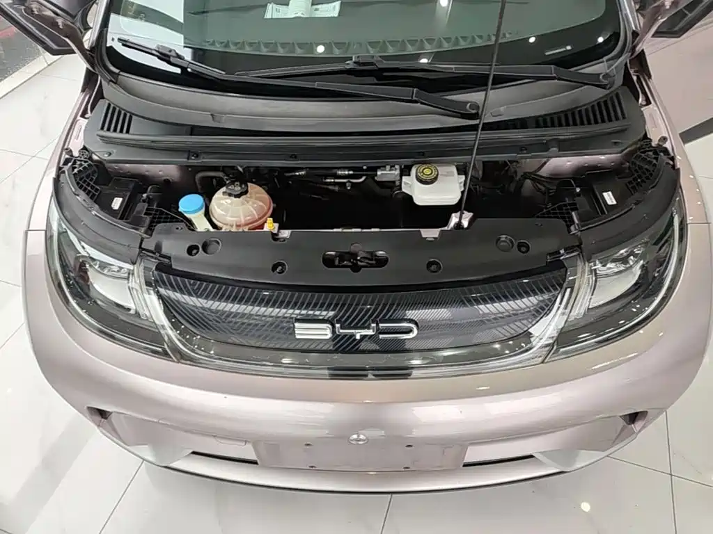 BYD Dolphin — миниатюра 20