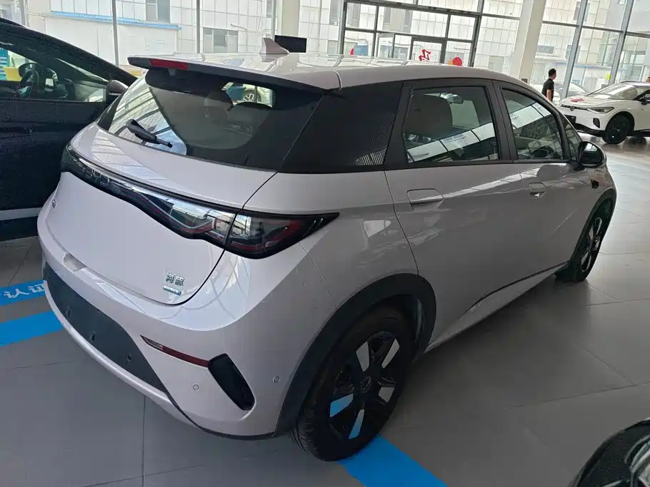 BYD Dolphin — миниатюра 3