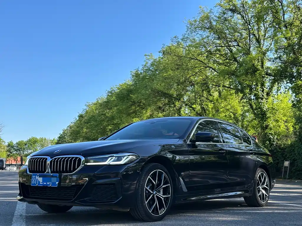 BMW 5 Series 2021