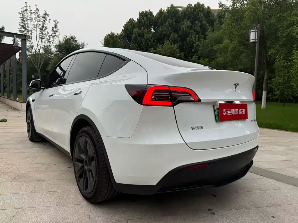 Tesla Model Y — миниатюра 7
