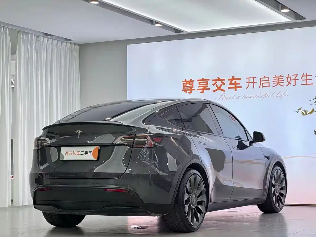 Tesla Model Y — миниатюра 7