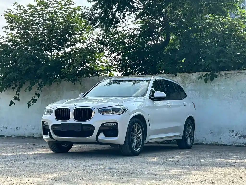BMW X3 — миниатюра 3